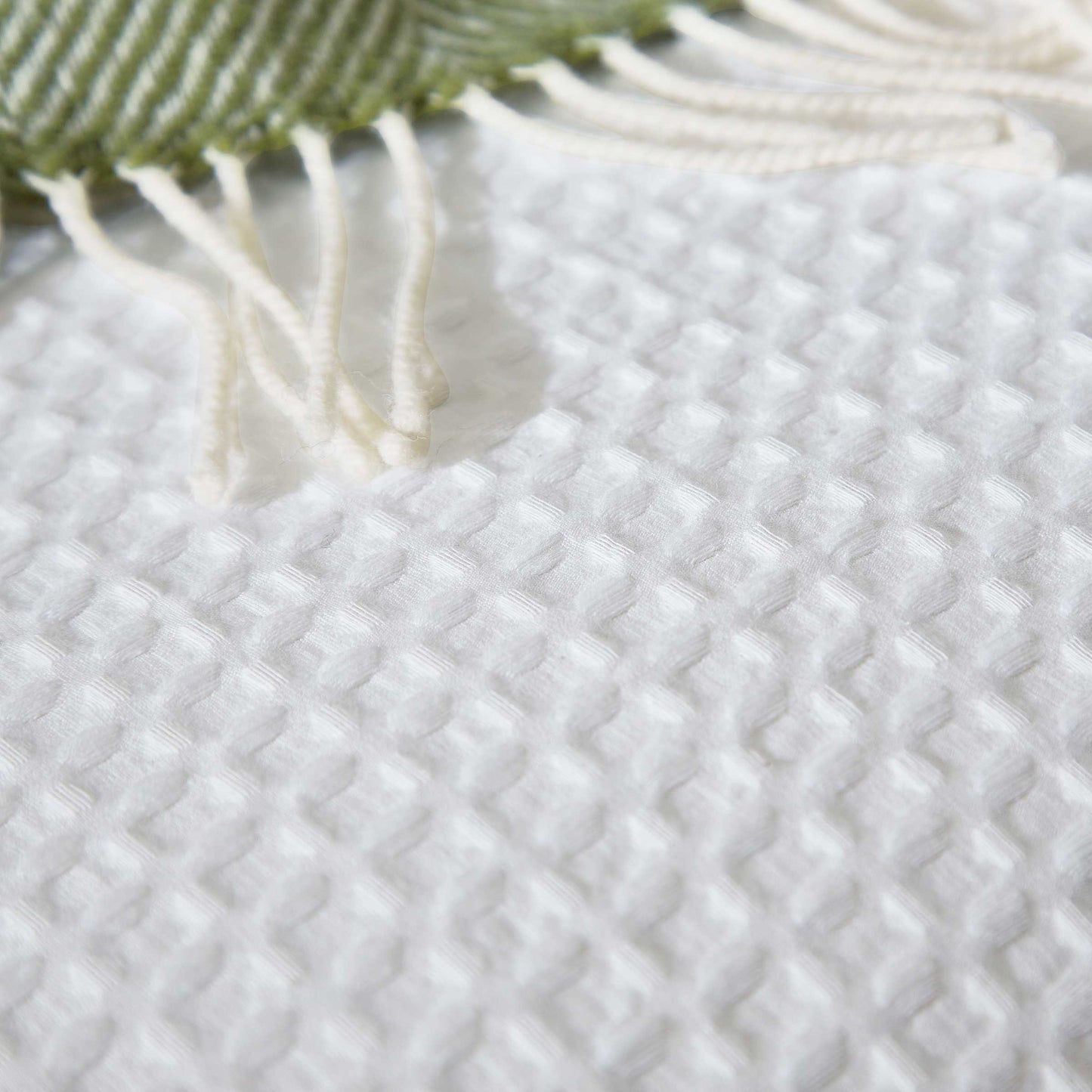 Lida, White