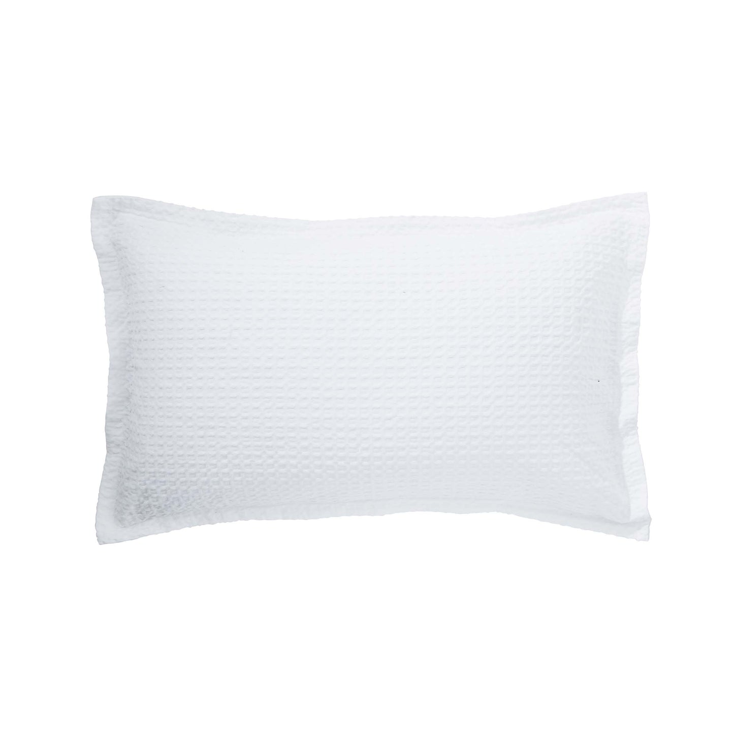 Lida, White