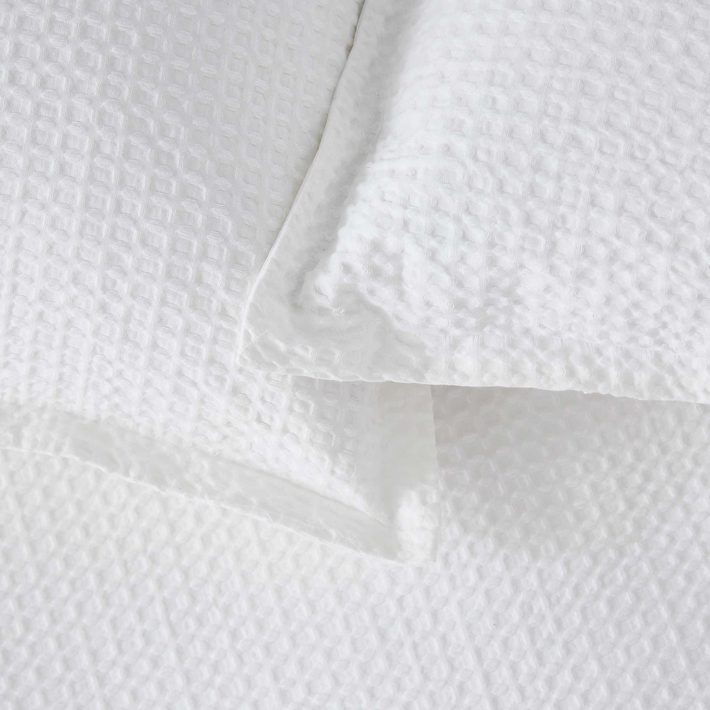 Lida, White